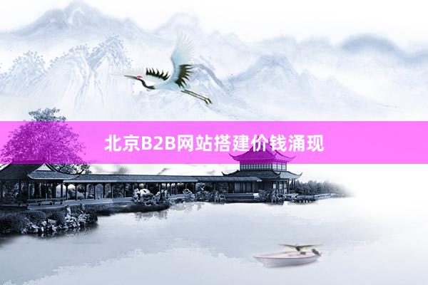 北京B2B网站搭建价钱涌现