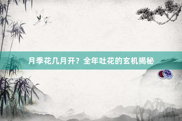 月季花几月开？全年吐花的玄机揭秘